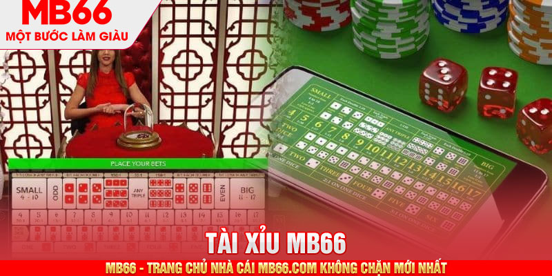 Các dạng cược tài xỉu quen thuộc tại nhà cái MB66