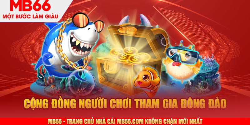 Cộng đồng người dùng tham gia rất đông đảo