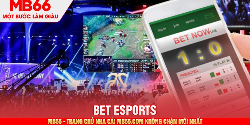 Thông tin cơ bản về đặc điểm của sảnh BET