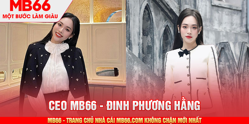 Mục tiêu và định hướng phát triển thương hiệu MB66