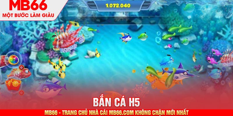 Phòng trung cấp cho người dùng đã có kinh nghiệm