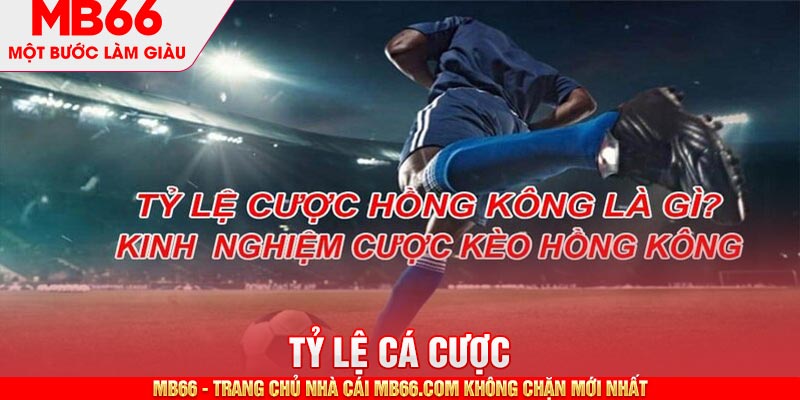 Tỷ lệ cá cược Hồng Kông được rất nhiều anh em tại Việt Nam ưa chuộng